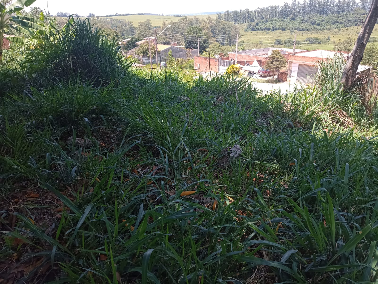 Foto - Monte Mor - Jardim São Sebastião