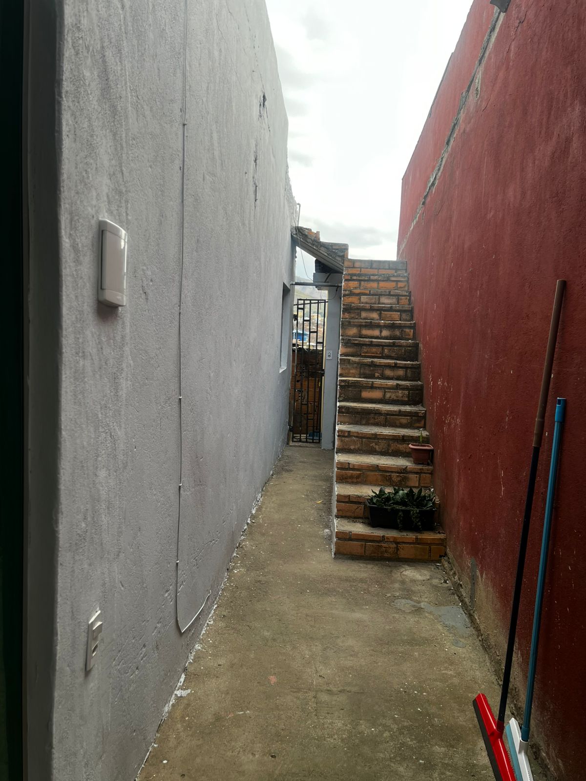 Foto - Ibirité - Primavera