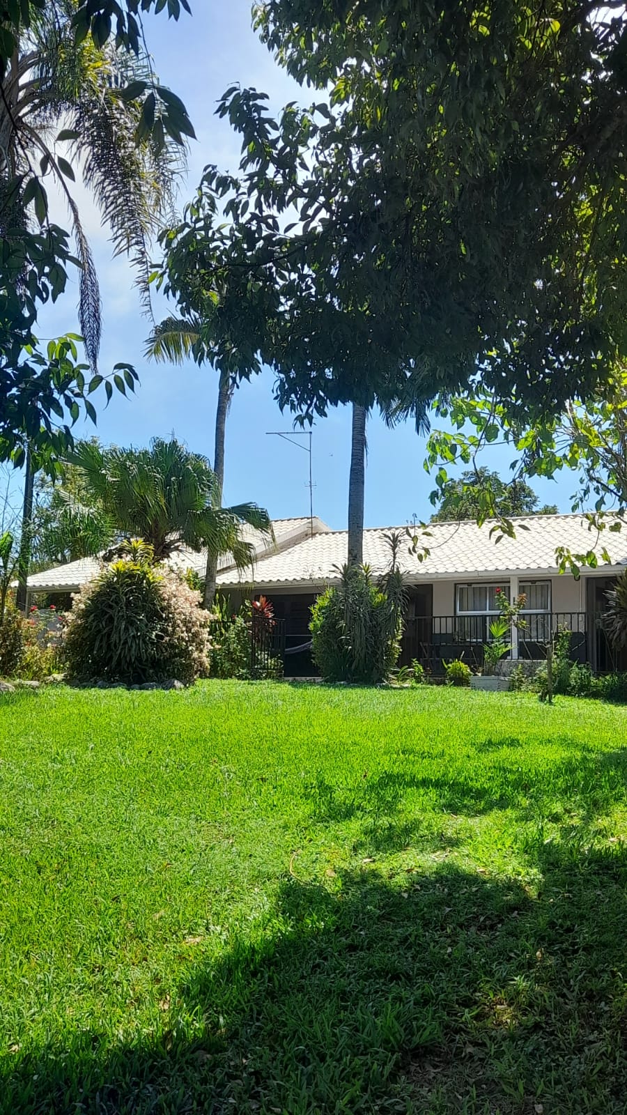 Foto - Estrela - São Geraldo