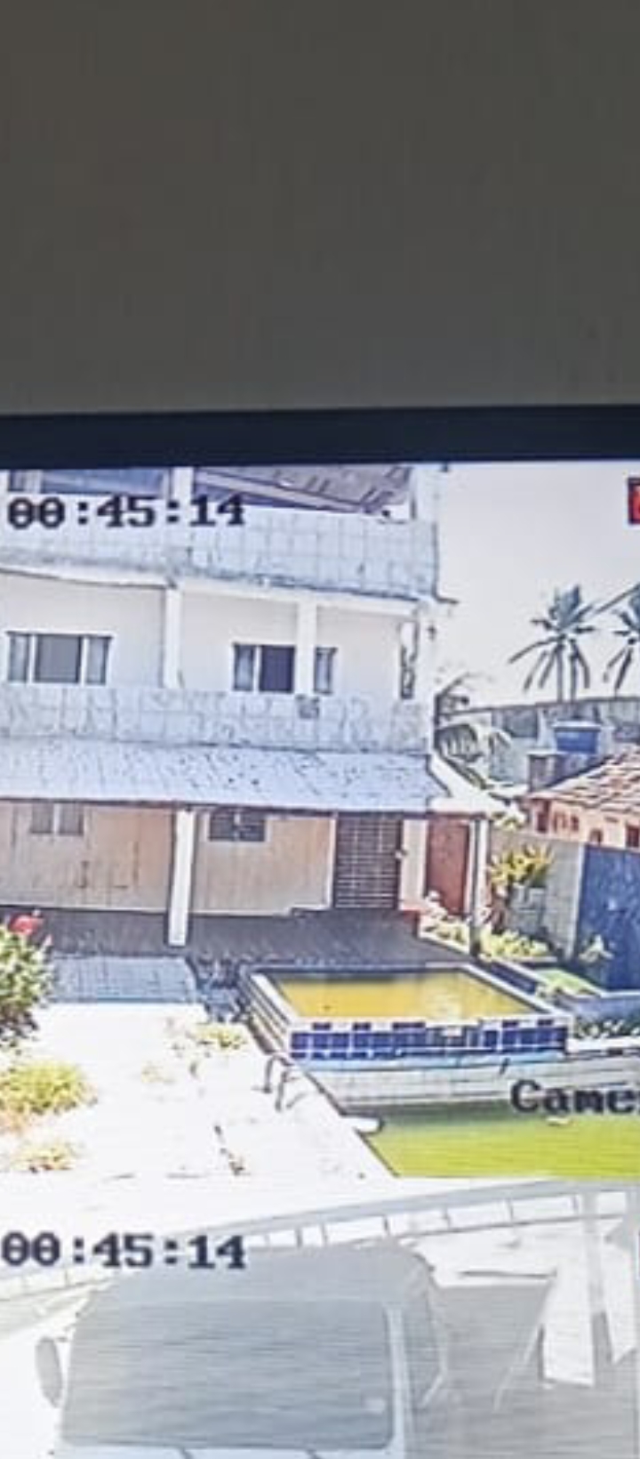 Foto - Paulista - Janga