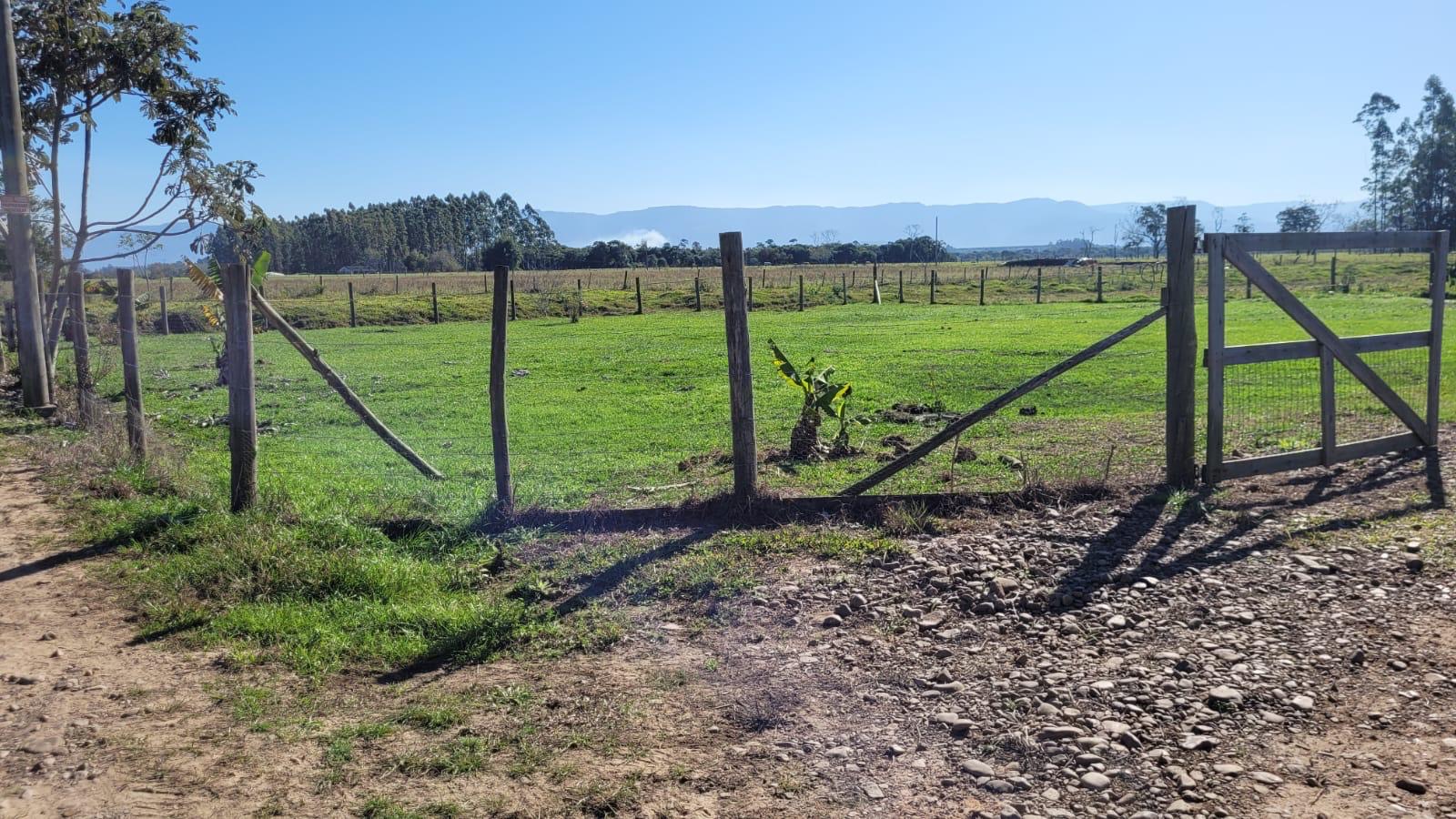 Foto - São João do Sul - Querência
