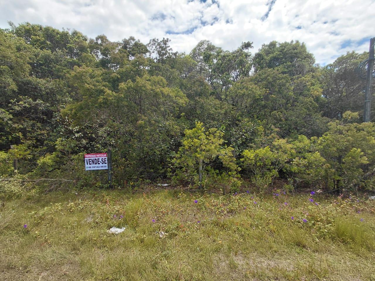 Foto - Garopaba - Campo D'Una