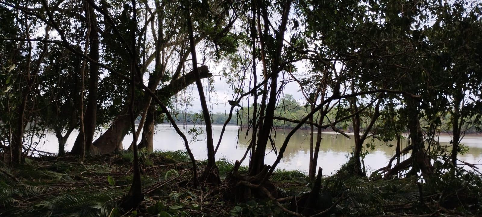 Foto - Ananindeua - Curucamba
