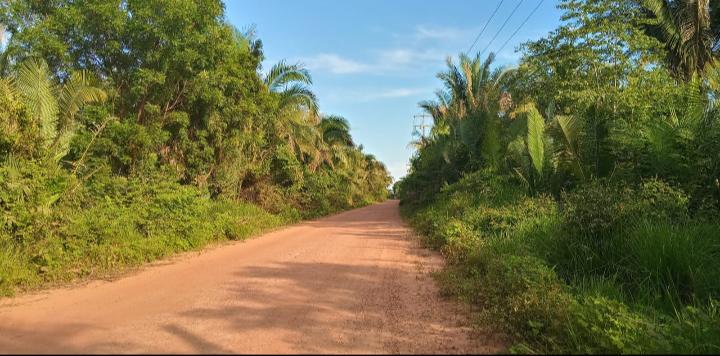 Foto - Teresina - Zona rural