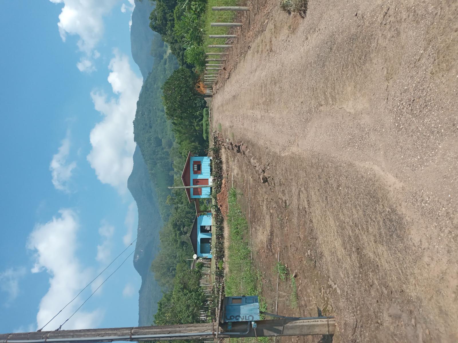 Foto - Maquiné - Barra do ouro Maquine